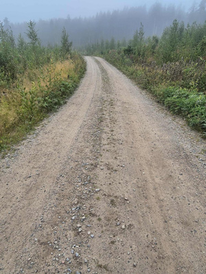 Tryck f&ouml;r st&ouml;rre bild!